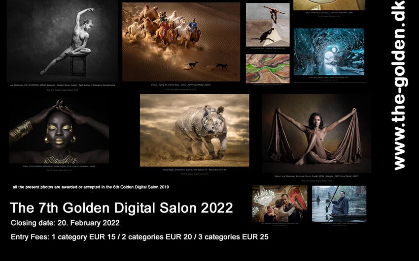 The 7th Golden Digital Salon 2022